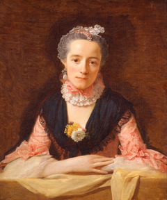 Lady in a Pink Silk Dre by Allan Ramsay