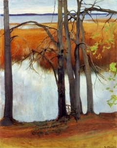 Lake Shore with Reeds by Eero Järnefelt