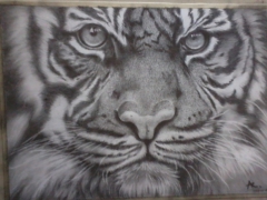 Leopard Drawing by RAK9art