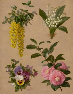 Lily of the valley, camellia, pansy, and laburnum by Paul de Longpré