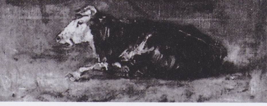 Exhibit image