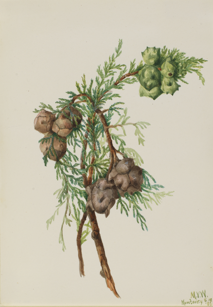 Exhibit image