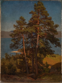 Pinetrees by August Cappelen