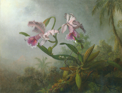 Pink Orchids and Hummingbird on a twig by Martin Johnson Heade