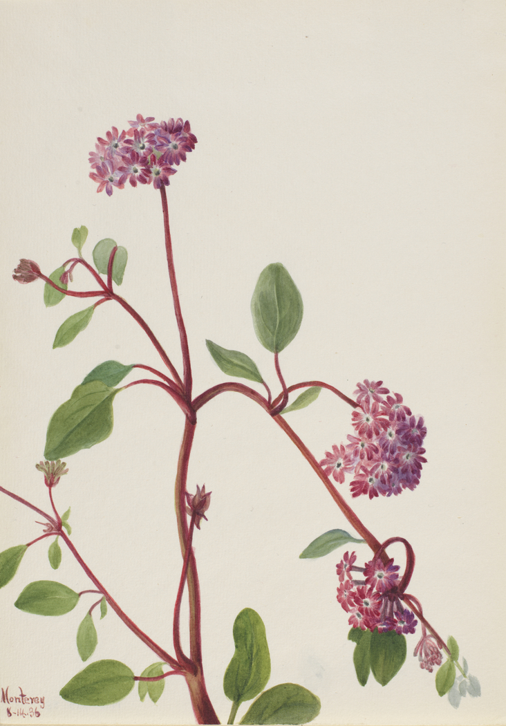 Exhibit image