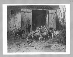 Schafe vor dem Stall by Friedrich Otto Gebler