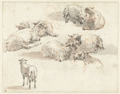 Schetsblad met groepen schapen by Pieter Gerardus van Os