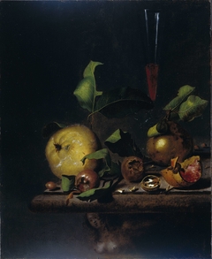 Still Life with Quinces, Medlars and a Glass by Martinus Nellius