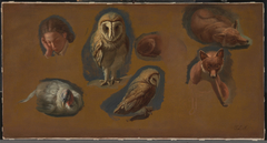 Studies of a Fox, a Barn Owl, a Peahen, and the Head of a Young Man by Jacques-Laurent Agasse