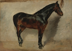 Study of a Brown-Black Horse Tethered to a Wall by Eugène Delacroix