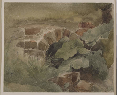 Study of Foliage by David Cox Jr