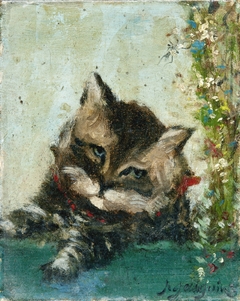 Tête de chat by Paul Gauguin