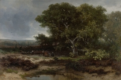 The Heath near Wolfheze by Johannes Warnardus Bilders