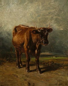 The Red Cow by Constant Troyon