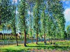 The Row of Poplar Trees in Moret by Alfred Sisley