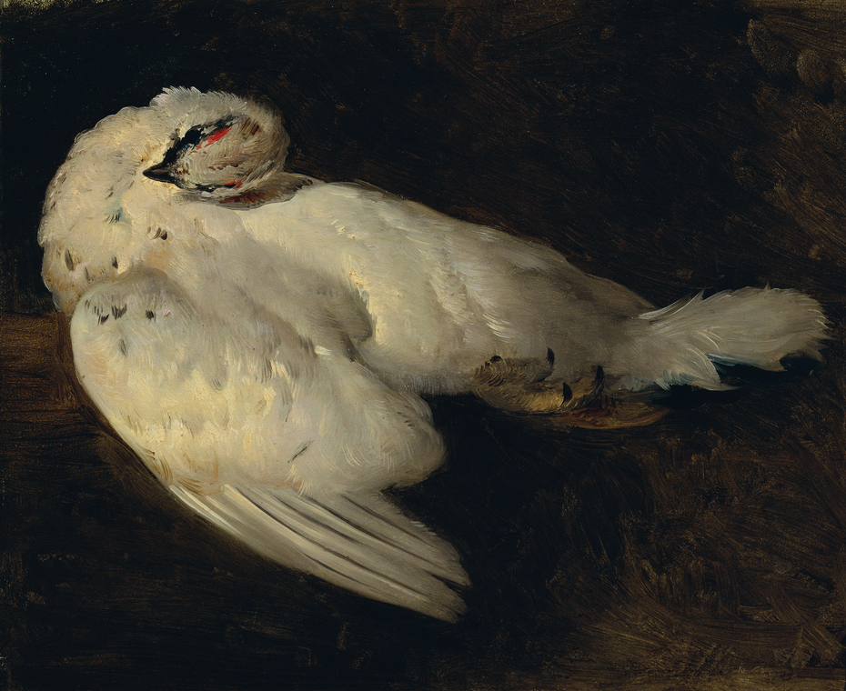 Exhibit image