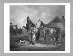 Training of horses (portraits) by Albrecht Adam