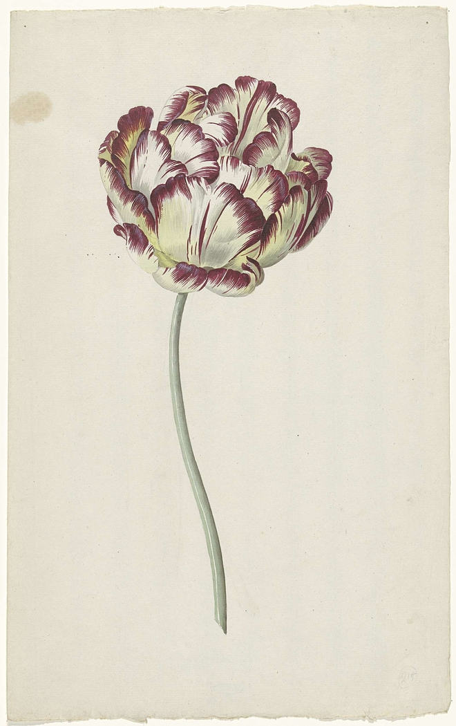 Exhibit image