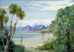 View of Mount Earnshaw from the Island in Lake Wakatipe, New Zealand by Marianne North