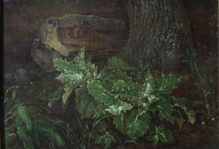 Waldstück mit Baumstamm by Carl Gustav Carus