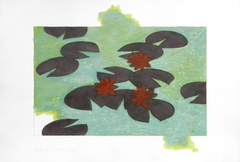 Water lilies by federico cortese