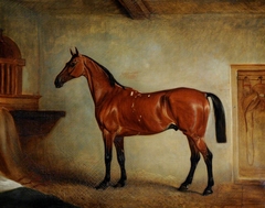 A Bay Horse in a Stable by Anonymous