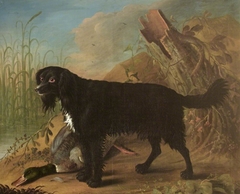 A Black Spaniel by George William Sartorius