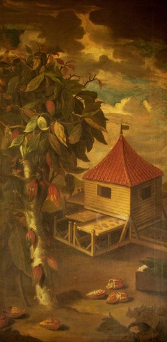 A Cocoa Tree and Roasting Hut by Albert Eckhout