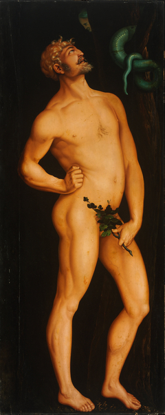 Adam by Hans Baldung Grien