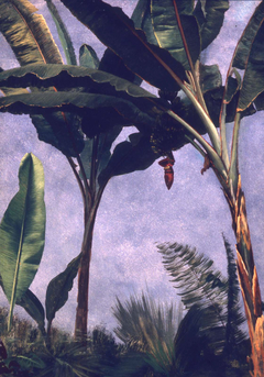 Banana Trees by Albert Bierstadt