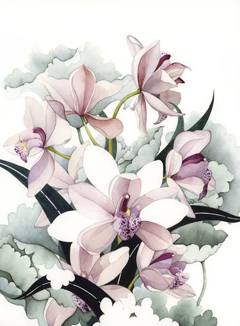 Composition with Orchid and Geranium by Anto ZV