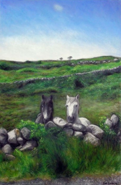 Connamara-Horses by Ruth Cadden