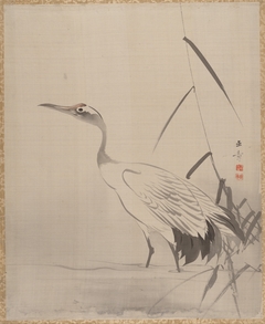 Crane Among Reeds by Kawabata Gyokushō