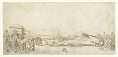 De gestrande potvis te Noordwijk in 1629 by Esaias van de Velde