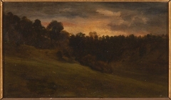 Etude du bois des brosses faite à Saint-Pierre près de Pont-Saint-Maxence by Alexandre-Gabriel Decamps