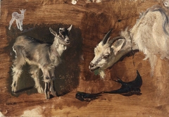 Goats by Eliphalet Frazer Andrews