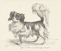 Hond by Hendrik Nieuwenhuysen