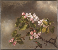 Hummingbird and Apple Blossoms by Martin Johnson Heade