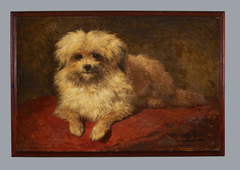 Liggend hondje, Henriëtte Ronner-Knip, 1850–1870 by Henriëtte Ronner-Knip