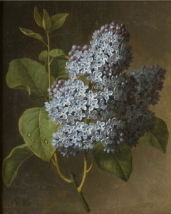 Lilac Blossoms by Christiaan van Pol