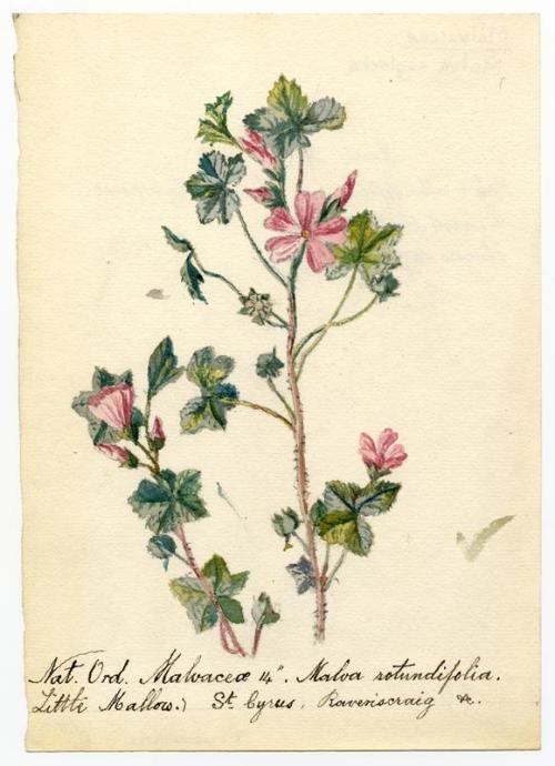 Exhibit image