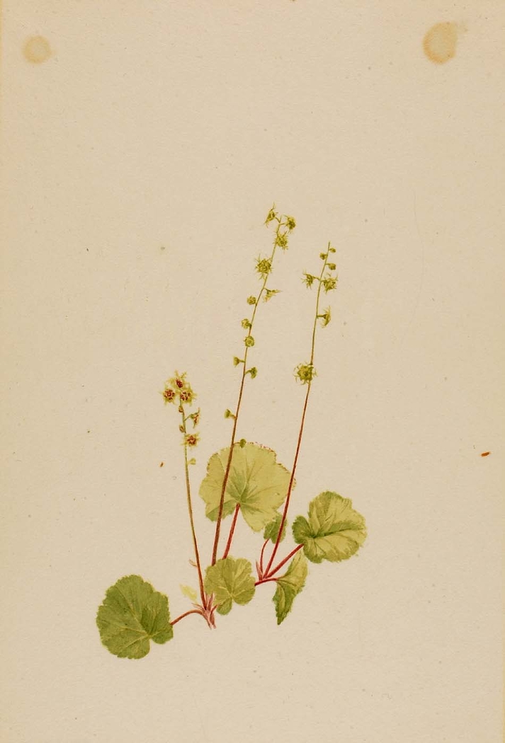 Exhibit image