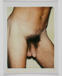 Nude Model (Male) by Andy Warhol