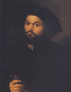 Portrait of a Man by Francesco Torbido