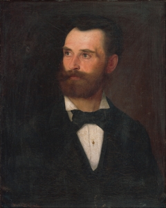 Portrait of a Man with Brown Beard by Gyula Stetka