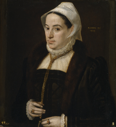 Portrait of a Woman aged 35 by Frans Floris I