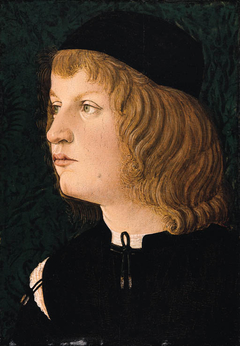 Portrait of a Young Man by Francesco Botticini