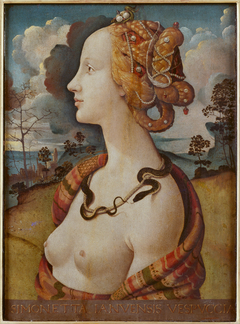 Portrait of Simonetta Vespucci by Piero di Cosimo