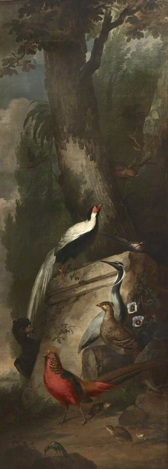 Red, Gold and Silver Pheasants and a Crane by Aert Schouman