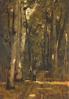 Road in the Fontainebleau Forest by László Paál